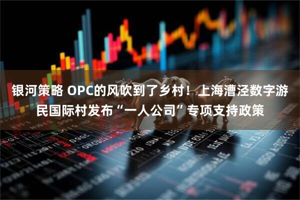 银河策略 OPC的风吹到了乡村！上海漕泾数字游民国际村发布“一人公司”专项支持政策